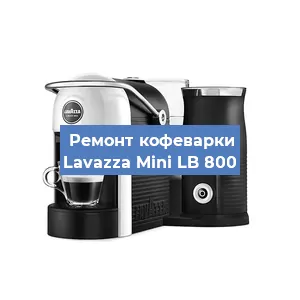 Чистка кофемашины Lavazza Mini LB 800 от кофейных масел в Тюмени